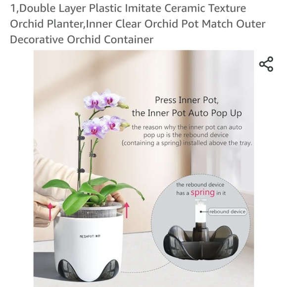 Orchid Pot - Picture 3 of 6